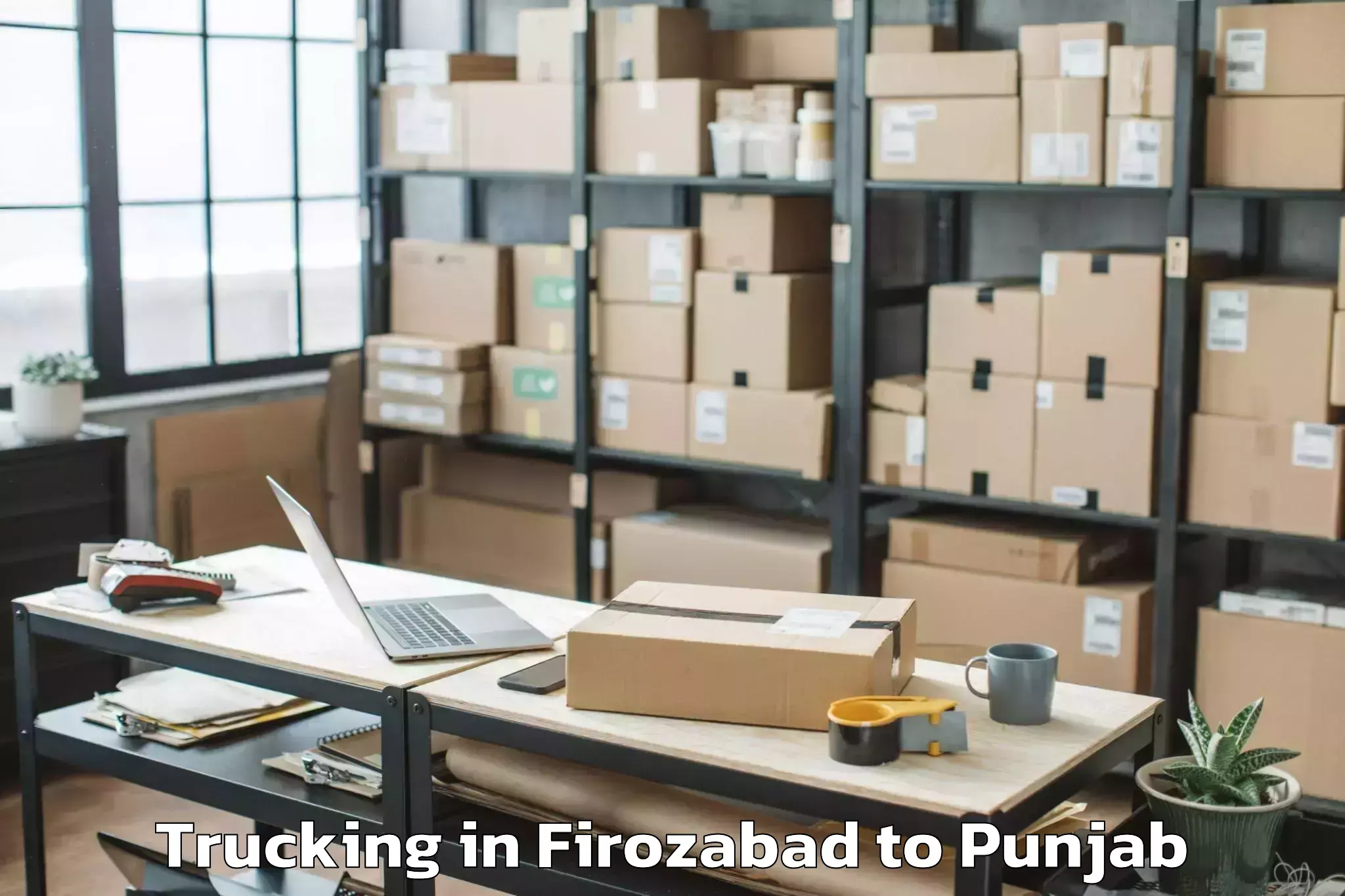 Leading Firozabad to Barnala Trucking Provider